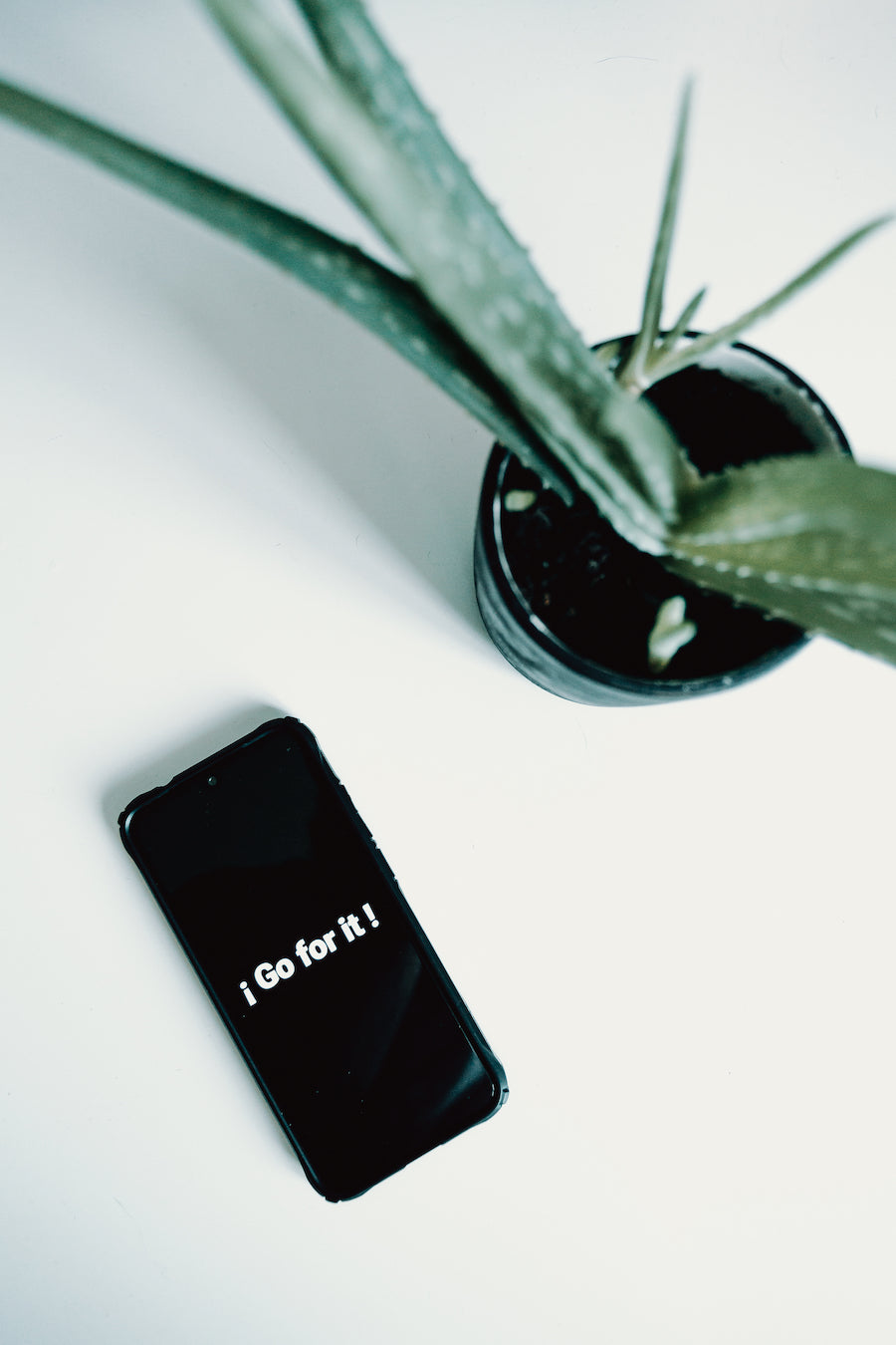 Plant next to phone with motivating message